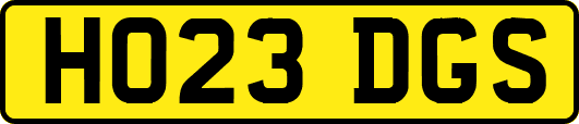 HO23DGS