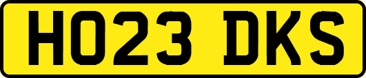 HO23DKS