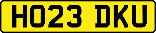 HO23DKU