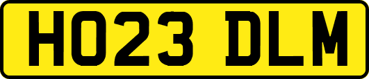HO23DLM