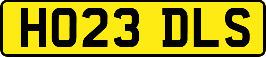 HO23DLS