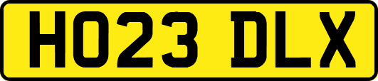 HO23DLX