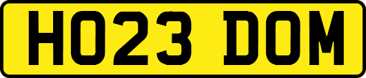 HO23DOM