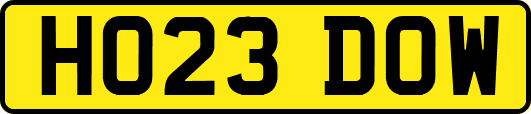 HO23DOW