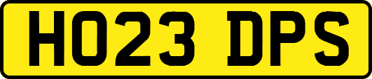 HO23DPS