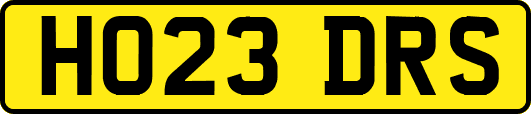 HO23DRS