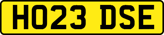 HO23DSE