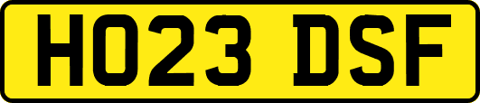 HO23DSF