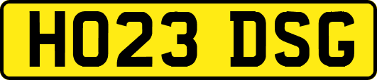 HO23DSG