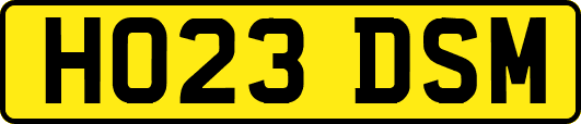 HO23DSM