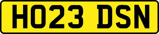 HO23DSN