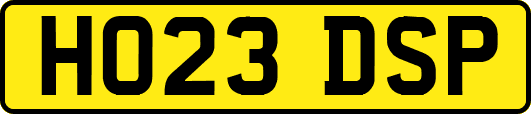 HO23DSP