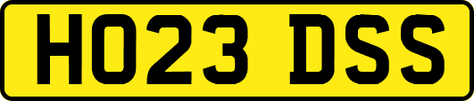 HO23DSS