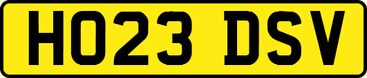 HO23DSV