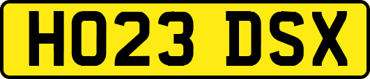 HO23DSX