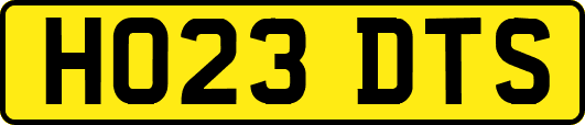 HO23DTS