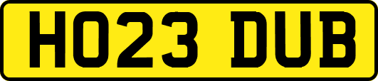 HO23DUB