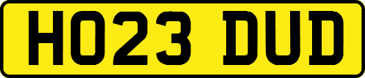 HO23DUD