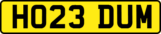 HO23DUM