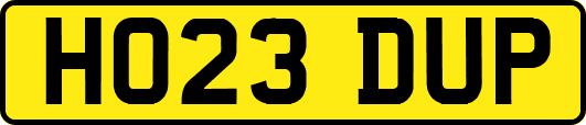 HO23DUP
