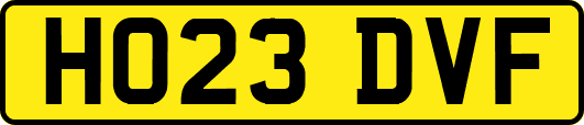 HO23DVF