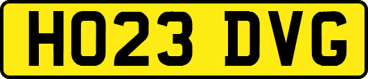 HO23DVG