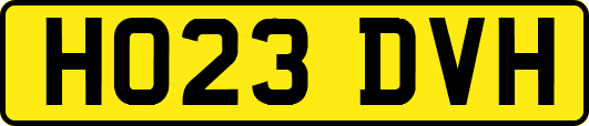 HO23DVH