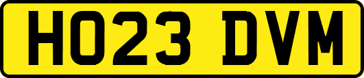 HO23DVM