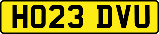HO23DVU