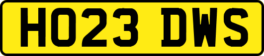 HO23DWS