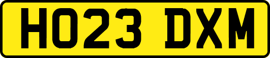 HO23DXM