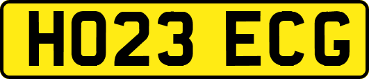 HO23ECG