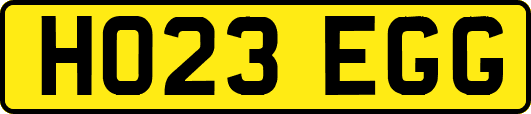 HO23EGG
