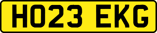 HO23EKG
