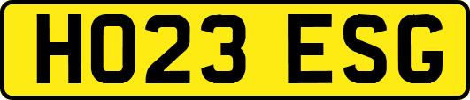HO23ESG