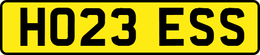 HO23ESS