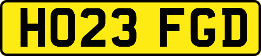 HO23FGD