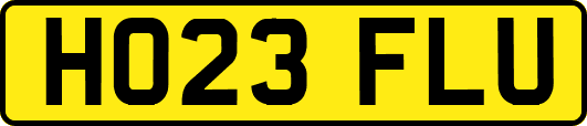 HO23FLU