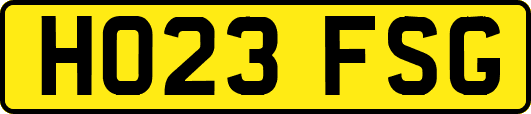 HO23FSG