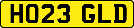 HO23GLD