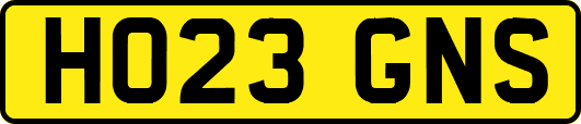 HO23GNS