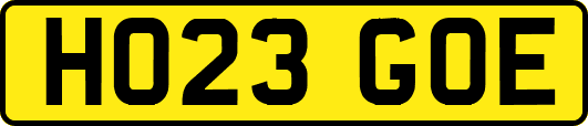 HO23GOE