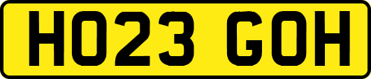 HO23GOH