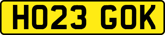 HO23GOK