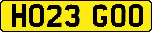 HO23GOO