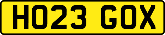 HO23GOX