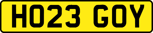 HO23GOY