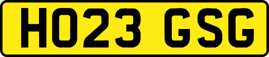 HO23GSG