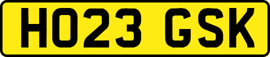 HO23GSK