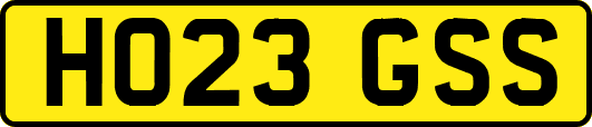 HO23GSS